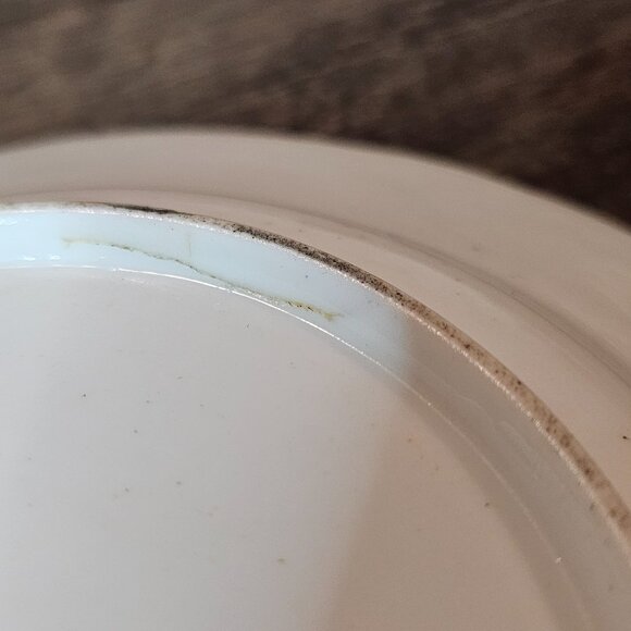 Early 1800s 19th Century Coalport Shropshire Staffordshire Flower Plate 8.5" - Picture 6 of 8